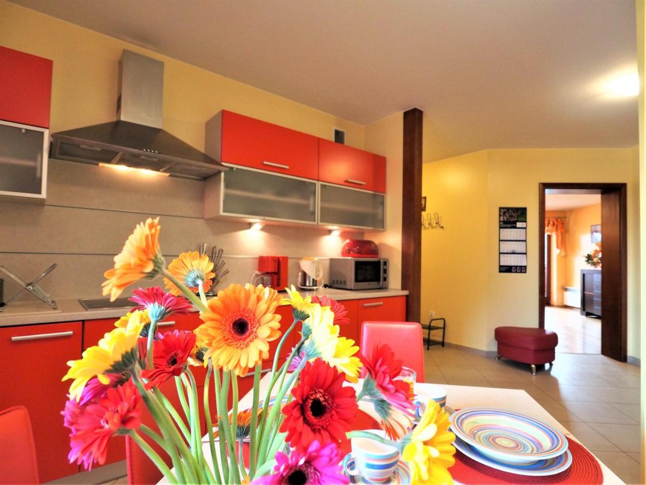 Apartament Widokowy Maki Zakopane Exterior foto